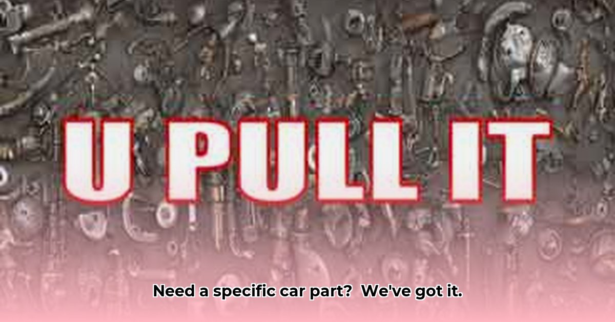 pick-and-pull-rocklin-ca